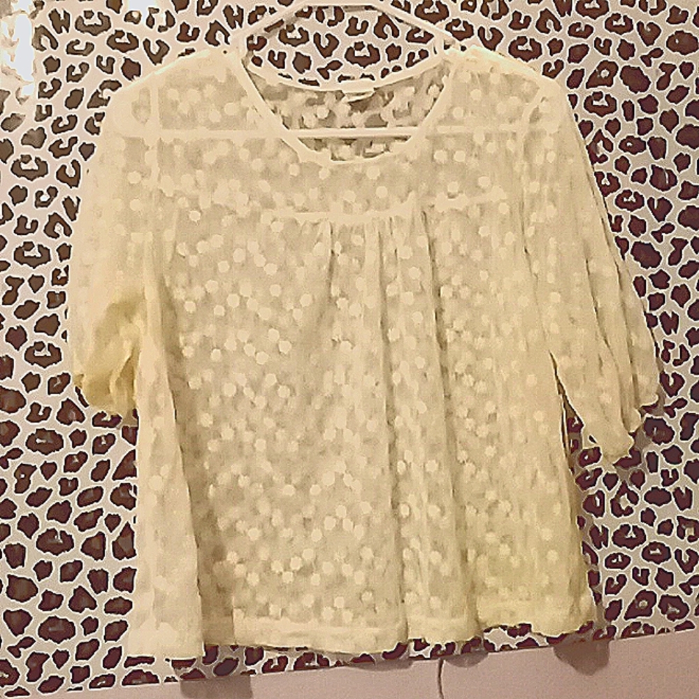 Tiny Willow Sheer over shirt
